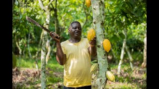 Découvrez le monde du cacao Fairtrade: Interview avec Kouman