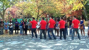 Omega Delta Phi Alpha Alpha Stroll