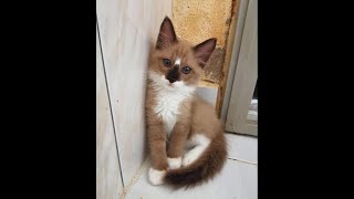 Pittsburgh Unboxing With Kathy 12-23-2025