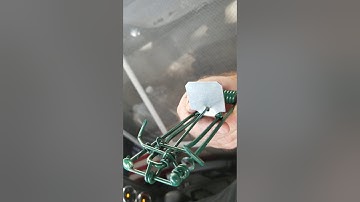Green gopher trap (how to set)