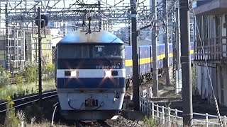 ★20241106 EF210形 通過 ＠枇杷島７