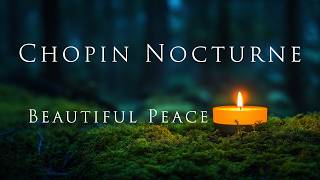 Chopin’s Nocturne in C# Minor | A Relaxing Journey Through Moonlight, Nature, and Calm