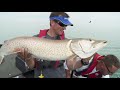 Lund Boats Ultimate Fishing Experience 2018 Episode 5 - St. Clair Musky