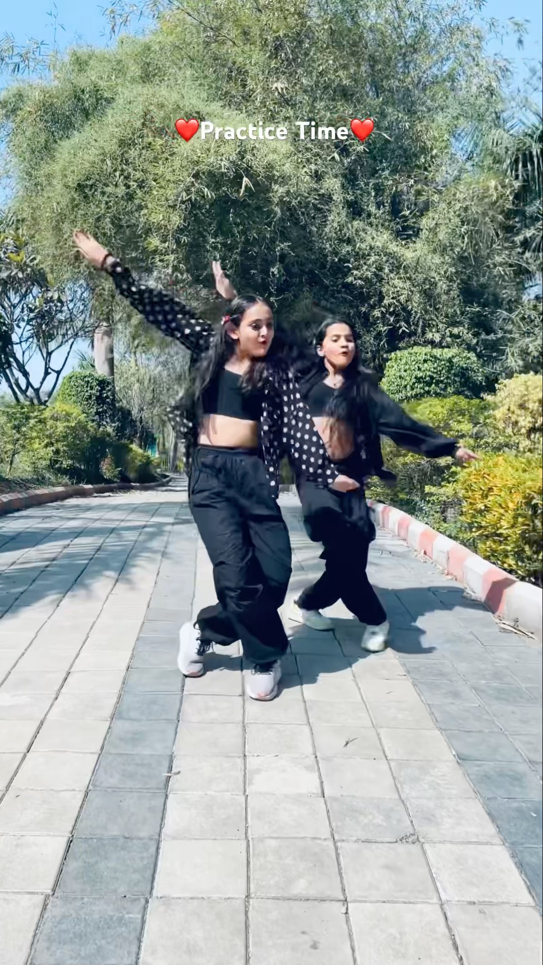 आप को डांस अच्छा लगा❤️ #dance #nandini091013 #trending #shorts #viralvideo #youtubeshorts #short