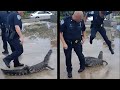 Police vs Beasts