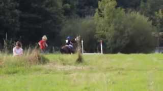CROSS - CCE - DANGEUL - ODIN DE LA BAUDRIERE