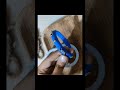 churi design idea 💡 #fypviralシ #diy #craft #fypシ゚viral #handmade #handmade #viralvideo #churi
