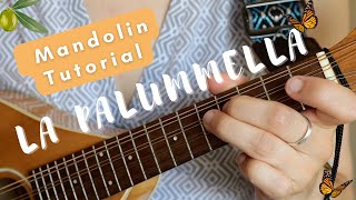 La Palummella Mandolin Tutorial | Tremolo | Tab