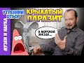 Крылатый паразит... в морской звезде и не только. Игорь Фадеев