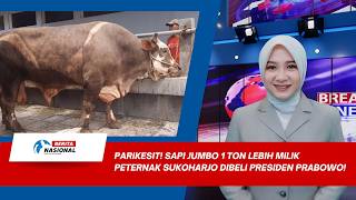 Sapi Jumbo 1 Ton Lebih Milik Peternak Sukoharjo Dibeli Presiden Prabowo! | Berita Nasional Pagi