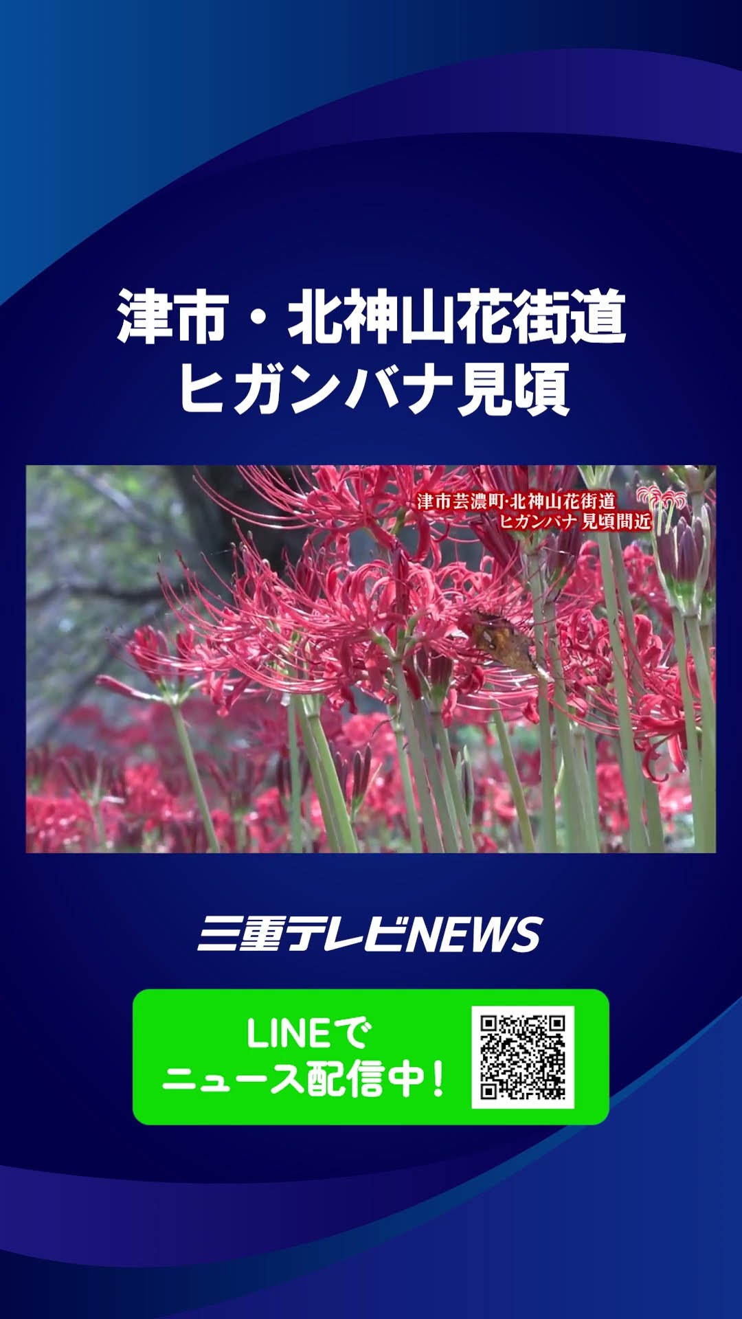 Red Spider Lily - YouTube