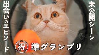 推し猫準グランプリ記念ととろとの出会いエピソード