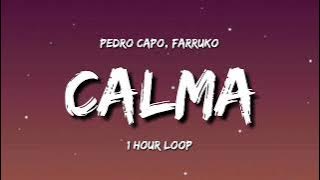 Pedro Capo, Farruko - Calma (1 Hour Loop) [TIKTOK Ssong]