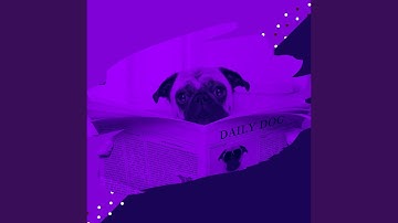 Delightful Backdrops for Puppy Party Time