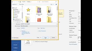 INSPECT DOCUMENT  MS WORD