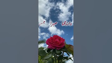 جمعة مباركة مجوهراتي💎📿 لا تنسوا قراءة سورة الكهف