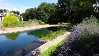 Natural Swimming Pools Benefit Your Backyard Visit http://www.PoolMoz.com to find out how to stop using chlorine in your pool and the top 5 products to reduce pool operating