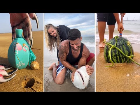 Catching Seafood 🦀🐙 ASMR Relaxing (Catch Shark, Fish, Deep Sea Monster) #861