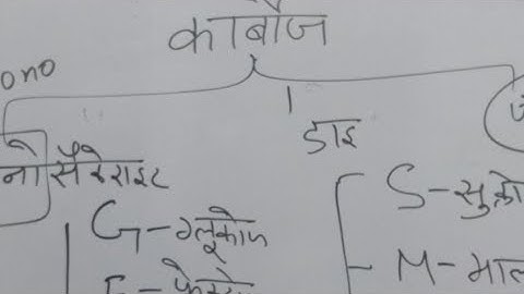 Lab Assistant Home Science Class