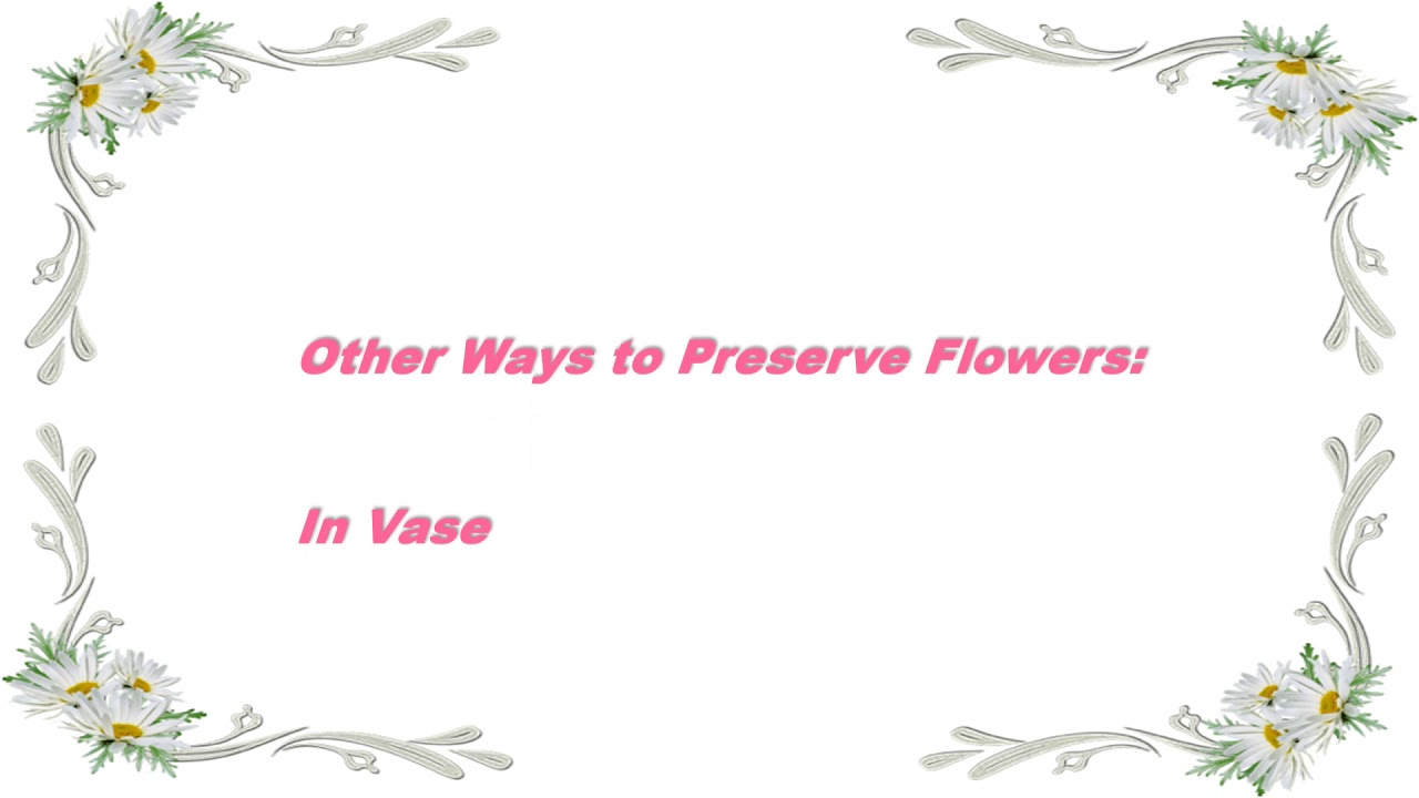How to Preserve Your Fresh Flowers YouTube