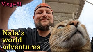 Nala cat arrives in CROATIA ❤  VLOG #61