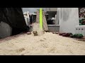 Dye cast cars, destruction.