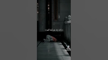 ولقد نعلم انك يضيق صدرك مما يقولون | عمير شميم | سورة الحجر
