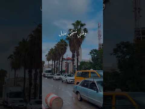 تمر ببالي كطيف جميل