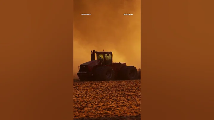 The Futuristic Farms That Will Feed the World | SUSTAINABLE