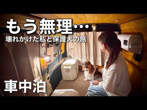 Small Progress: My New Dog's First Car Camping Trip in Japan - YouTube