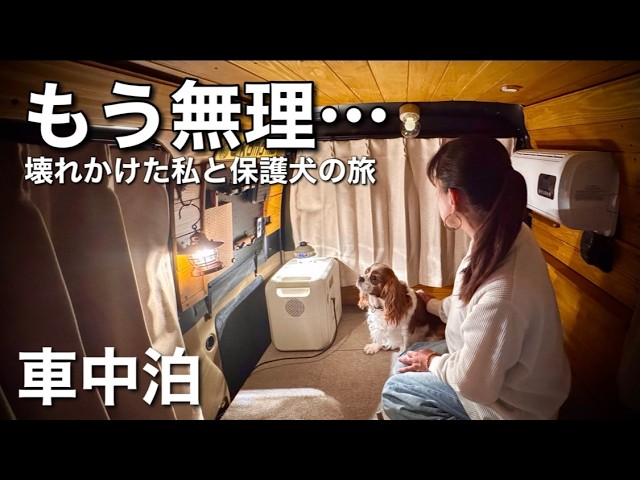 【53歳軽バン旅】更年期で壊れかけた心。この子と「空白の６年間」を埋めたいと旅に出た日