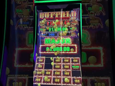 One dolar major jackpot buffalo link in Sycuan casino