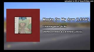 CAIDAN - Marks On My Arm (feat. SLB) (LEAK)