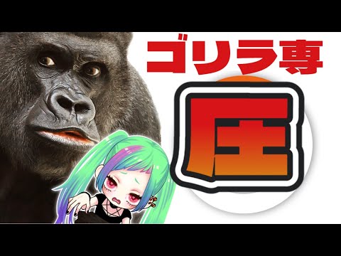【ゴリラ専OW2】ランクでも圧をかけていきたい…オーバーウォッチ２【※暴言注意】