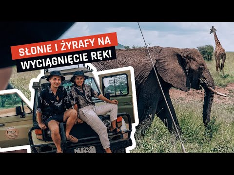 Wideo: Pięć najlepszych tras safari w Tanzanii