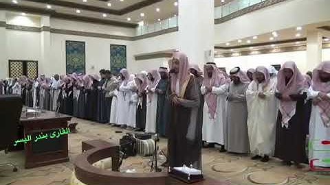 جديد القارئ : بندر اليسر ماشاء الله