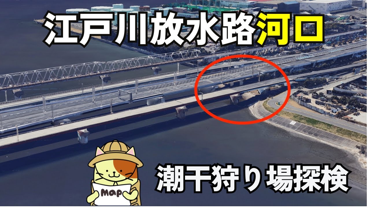 江戸川放水路河口 本行徳の潮干狩り場に下見に行ってみた
