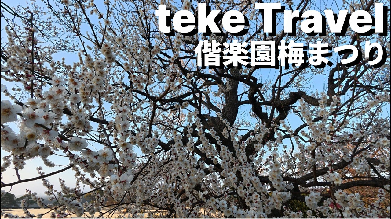 【観光】偕楽園梅まつり/茨城県水戸市 日本三大庭園の一つである偕楽園の梅を鑑賞