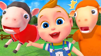 Baa Baa Black Sheep Song | Newborn Baby SongsㅣKids Songs and Nursery Rhymes | Baby SumoCoco