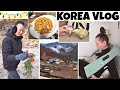 Новинки на моей корейской даче / Муж приехал / KOREA VLOG