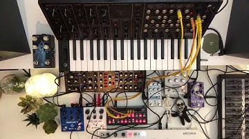 Experience 113 • MS-20 • SQ-1 • Model D • Mercury7 • Polymoon • Hedra • Visitor • Dark World