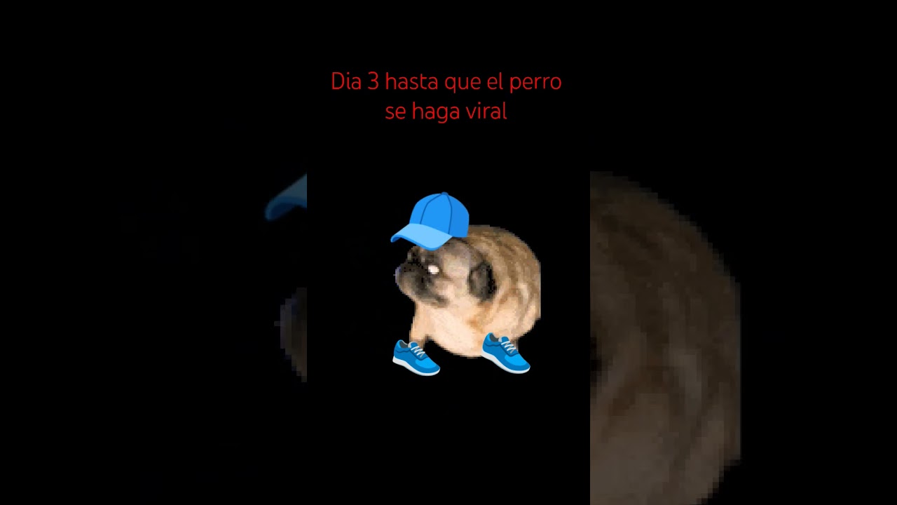 PUG`sパパです。 PUG`sパパです。 Funny and Cute Pug Videos From