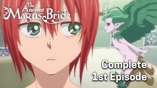The Ancient Magus' Bride Ep. 1 | April showers bring May flowers