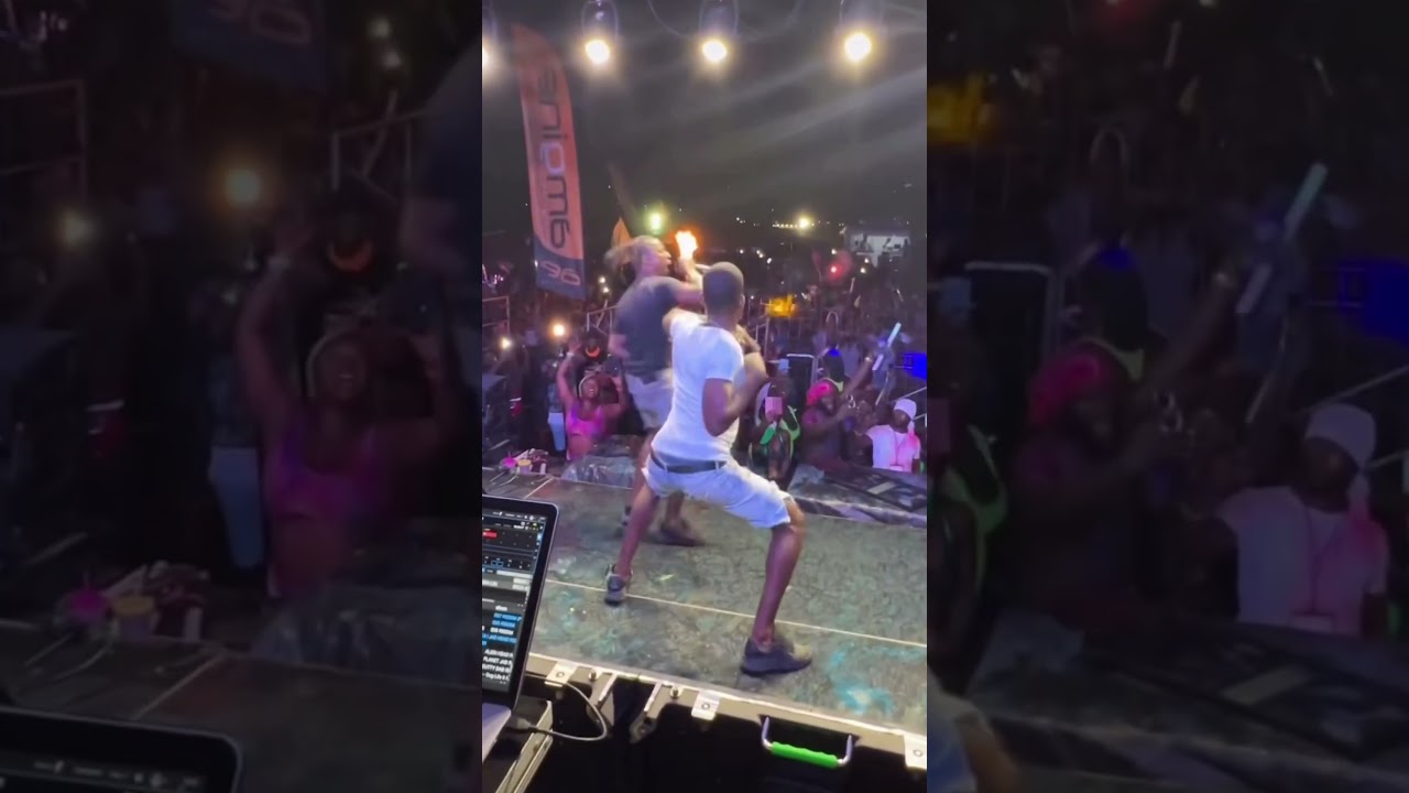 OG park performing whale fu see 