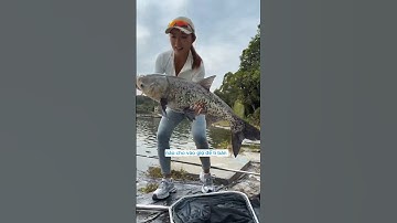 gái xinh câu cá đầu to hồ dịch vụ bị anh chủ hồ cọi thường và cái kết  #fishing #cauca #short