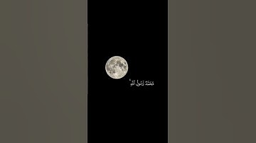 أكتب شئ تؤجر عليه 💜🌼|حالات واتس اب قرآن كريم|