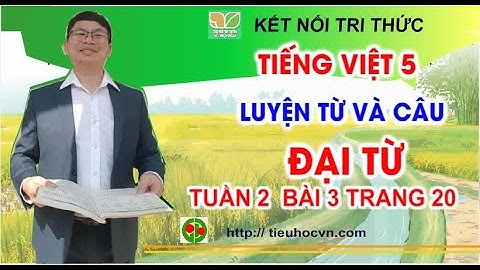 Tiếng Việt 5 Bài 3 Luyện từ và câu: Đại  từ  | Tuần 3 trang 20