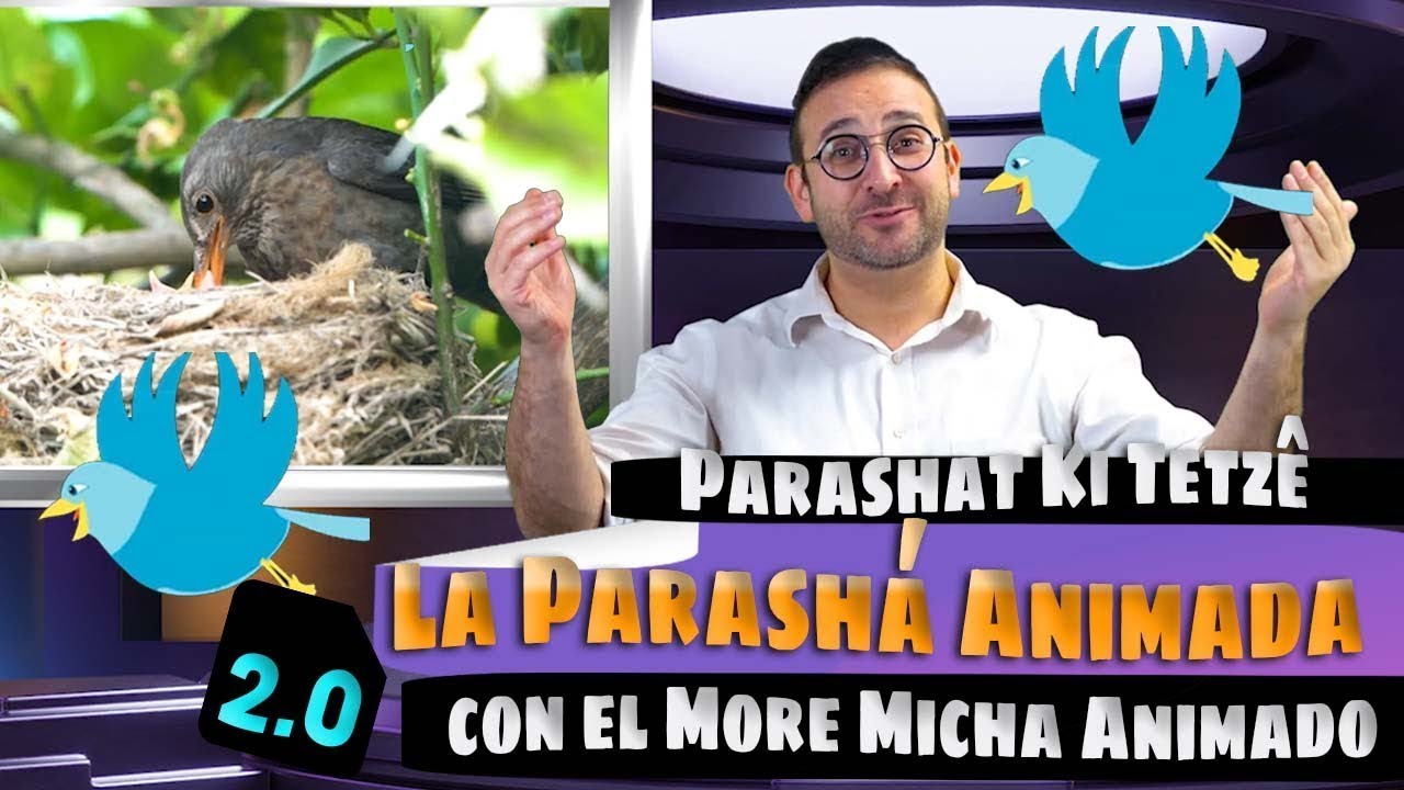 49 - Parashá Ki Tetze - La Parasha Animada con el More Micha Animado 2. ...