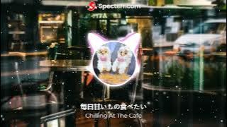 Chilling At The Cafe (Offical Visualizer)