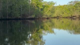 “ GOD WAS LISTENING “ …. written by: Lynn Jordan , Conway SC